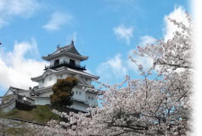 掛川城と桜(城郭より)